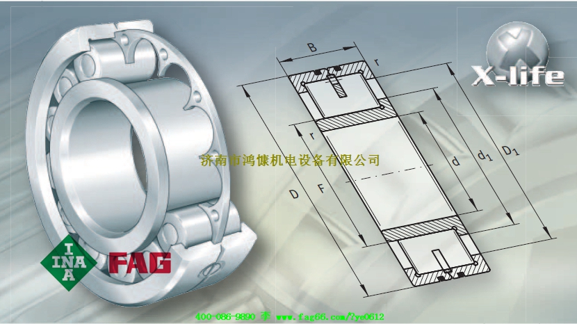 山東進(jìn)口軸承&mdash;FAG軸承